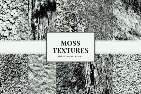 Moss Textures for Distressed Design Projects