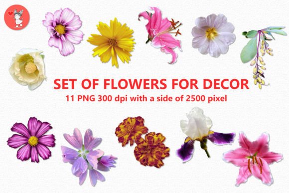 SET of FLOWERS for DECOR: A Versatile Design Resource for Creative Projects